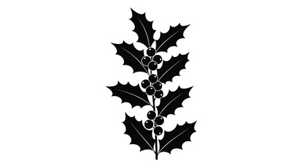 Holly branch with berries black silhouette leaves © MD RIPON