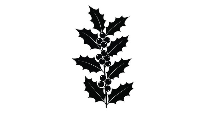 Holly branch with berries black silhouette leaves