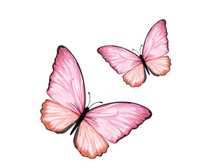 Obraz premium watercolor hand drawn design