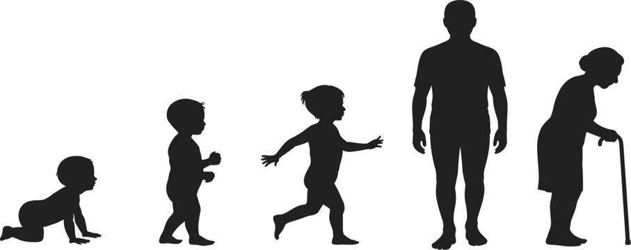 Silhouettes illustrating the stages of human life from infancy to old age Keywords: human life, stages, infancy, childhood, adulthood, old age, silhouette, baby