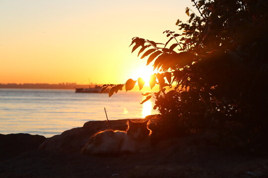 sunset on the sea