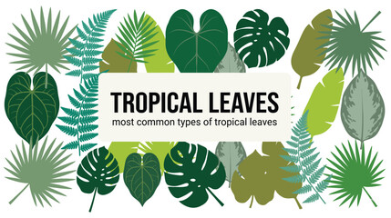 Set of various green tropical foliage for nature design. © Amir