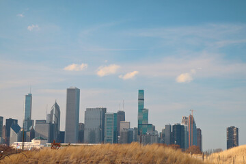 Fototapeta premium Chicago Skyline Behind Grassy Hill 2