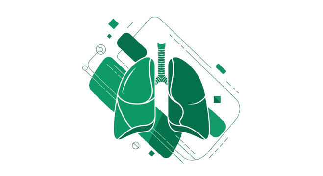 Medical Illustration Detailing Lungs, Depicting Diagram of Respiratory System In Green