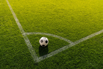 FUTBOL SOCCER BALÓN © Lúmina Studio
