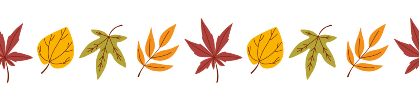 Infinity border frame of fallen autumn leaves, herbarium of maple, katsura, sweet gum, elderberry