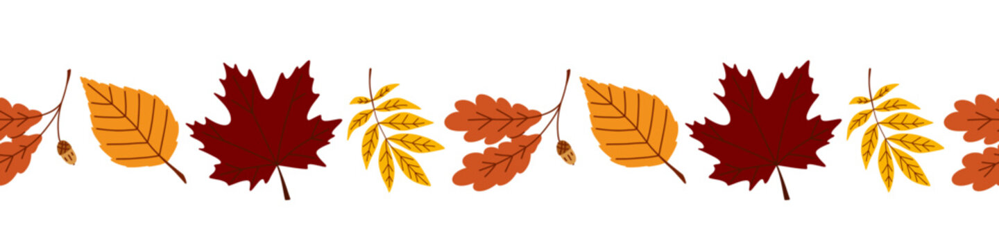 Seamless border pattern with fallen leaves in a row for contour design, maple, American beech, oak, hickory, American autumn leaves