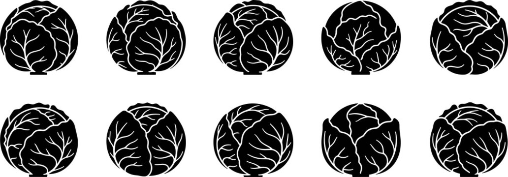 Cabbage vector icons, vegetable silhouette set, organic food illustration, healthy eating concept, farm produce design, nature graphic art, eco pattern