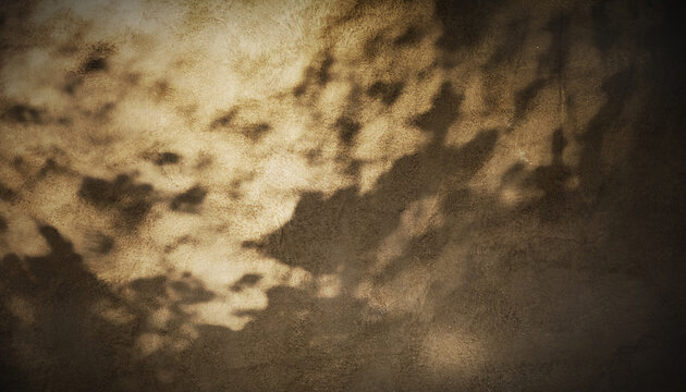 Warm sand texture background with dappled sunlight and organic leaf shadows