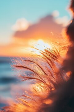 Sunlit grass blades catch the golden light of the setting sun over a hazy ocean horizon. AI.