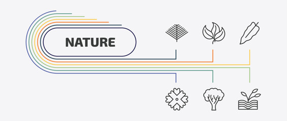 nature outline icon set. thin line green, philodendron, wedelia, paper birch tree and more icons. editable vector © Farahim