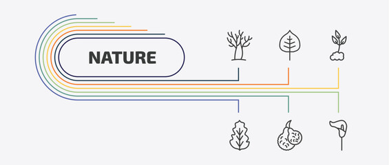 nature outline icon set. thin line cercis leaf, cultivation, peppermint, bergamot and more icons. editable vector © Farahim