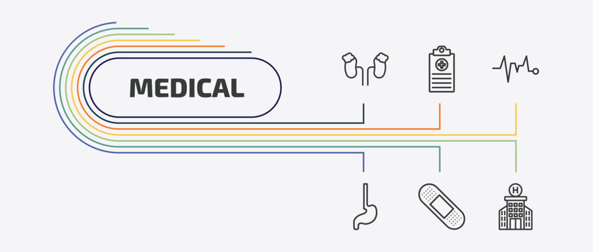 medical outline icon set. thin line medical records, pulse line, esophagus, sticking plaster and more icons. editable vector