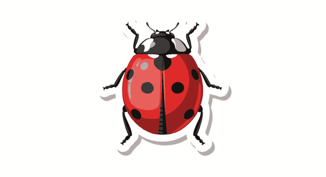 Red ladybug with black spots top down view