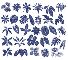 Set of floral elements and silhouettes of tropical leaves, ornamental patterns for using in invitation cards, ornaments, wedding invitations, etc. Handmade drawing vector illustration. © alaver