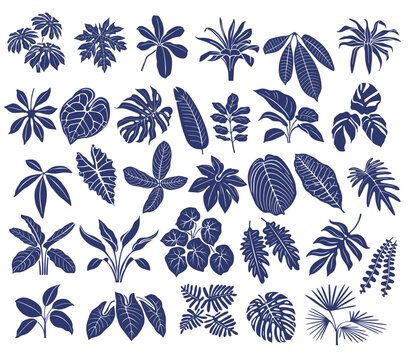 Set of floral elements and silhouettes of tropical leaves, ornamental patterns for using in invitation cards, ornaments, wedding invitations, etc. Handmade drawing vector illustration.