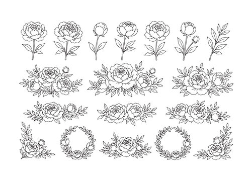 Peony flower collection in elegant outline style. Set includes blooming peonies, flower buds, floral arrangements, bouquets, decorative frames, wreaths and botanical elements isolated on white
