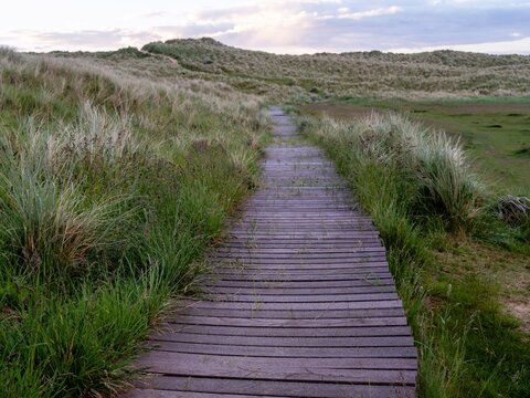 Boardwalk through grass on a sand dune habitat