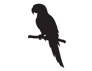 Fototapeta premium Black parrot silhouette, tropical bird vector graphic, exotic macaw or cockatoo outline, avian pet illustration for branding and design projects