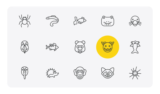 animals outline icon set. thin line spider, moray, crocodile, sea urchin and more icons. editable vector