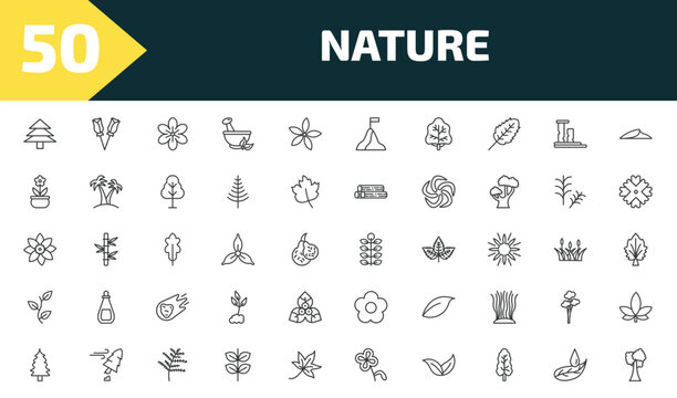 nature outline icon set. thin line pine tree, two roses, geranium, tree with white foliage and more icons. editable vector