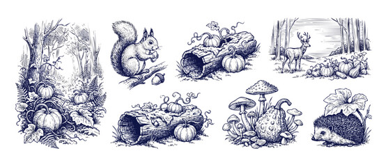Autumn forest animals sketch set featuring hand drawn engraving style squirrel, hedgehog, deer, pumpkins, and forest mushrooms on white background  vintage woodcut clipart pack for thanksgiving decor. © Dinali