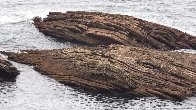  Flysch of Zumaia, one of the natural wonders of Euskadi