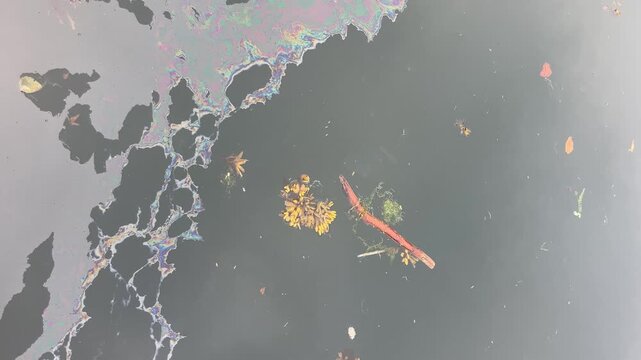 Iridescent oil slick polluting dark water surface