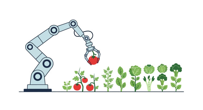 Robotic arm harvesting tomatoes in vertical farm, automated agriculture