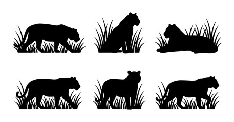 Big Cat Silhouettes, Wildlife Vector Icons, Safari Animals Collection © Rubel