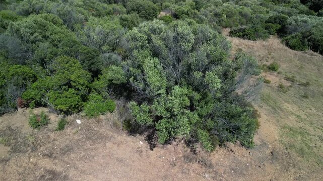 Costa Smeralda - Sardynia - Włochy - Film nagrany dronem. Morze, g&oacute;ry, fale,   ,śr&oacute;dziemomorski klimat, ł&oacute;dki i plaża i piękne widoki na szmaragdowe wybrzeże z powietrza