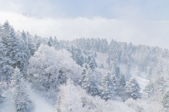 日本の風景・冬　奥飛騨　新穂高ロープウェイからの眺望