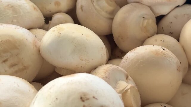 Clean white mushrooms stacked together on vegetable stand with soft natural texture and cozy countryside market mood for fresh everyday cooking.