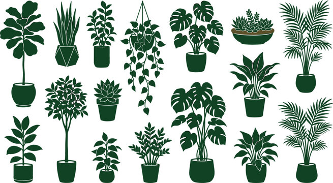 Houseplants and potted indoor plants silhouette set featuring monstera fiddle leaf fig snake plant palm tree and succulents vector