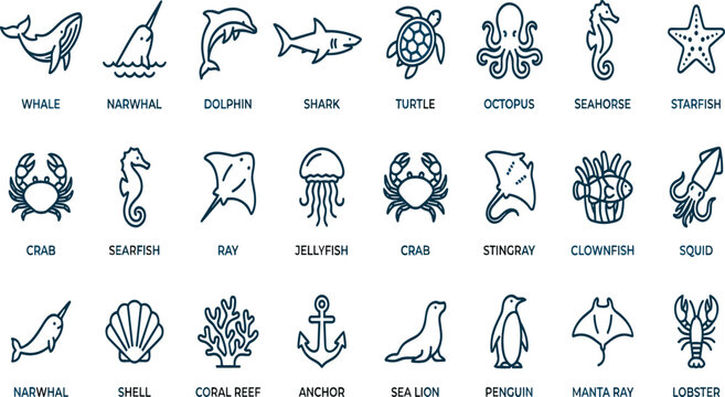 Ocean life and marine animal line icon set with text labels featuring whale narwhal dolphin shark turtle octopus seahorse and starfish vector