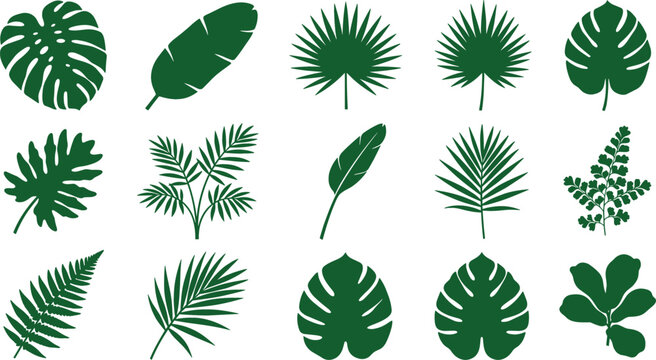 Tropical leaves vector silhouette set featuring monstera banana leaf palm fronds fern and jungle botanical plant elements for design