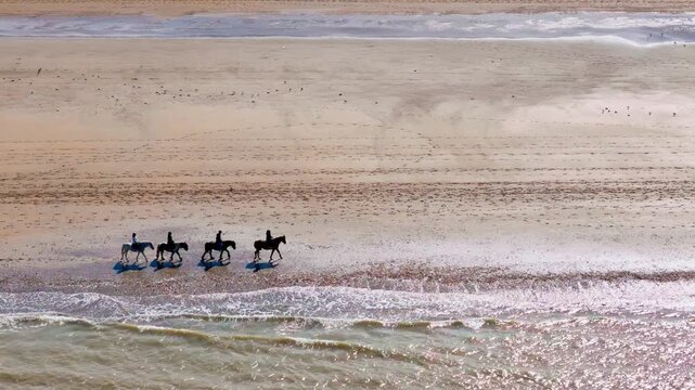 Horseback riding on wide sandy beach in Deauville, Normandy, France. Riders moving near surf line in aerial seaside view
