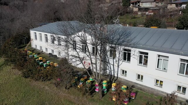 An aerial view of colorful wooden beehives arranged in rows on a green grassy yard next to a rural road and an old building, capturing traditional honey production.

