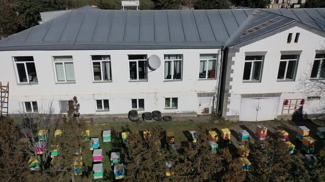 An aerial view of colorful wooden beehives arranged in rows on a green grassy yard next to a rural road and an old building, capturing traditional honey production.

