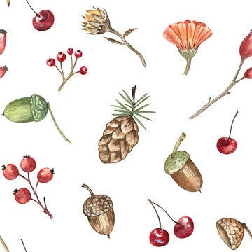 Autumn seamless pattern with acorns, pinecone, calendula flower, and berries. Hand-drawn watercolor design on transparent background. For fabric, home textile, projects in cottagecore style