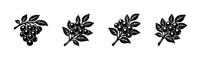 Stylized black and white illustrations of berry branches with leaves © Compositor 