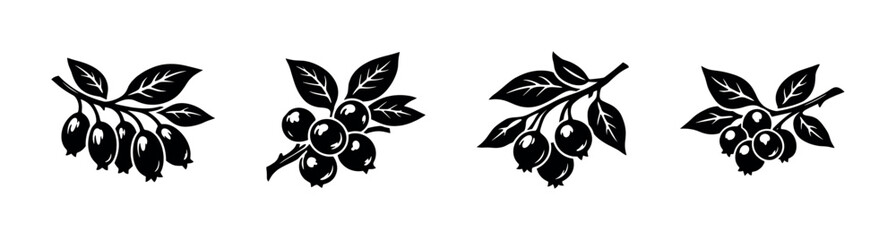 Stylized black and white illustrations of berry branches with leaves © Compositor 