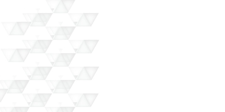 abstract geometric low poly background. white and grey landscape background with triangle decoration eps10