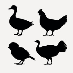 Obraz premium Silhouettes of various birds vector set
