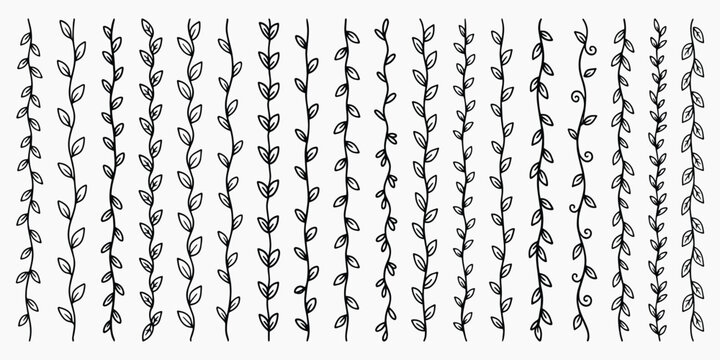 Hand-drawn vines seamless pattern, vector element set