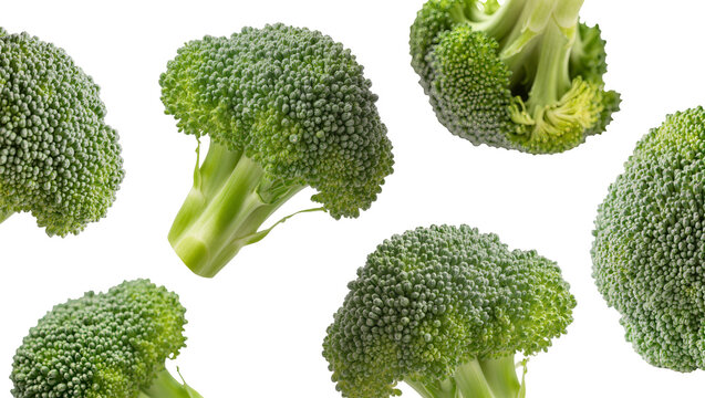 Isolated fresh vibrant green broccoli florets, nutritious and healthy vegetable food