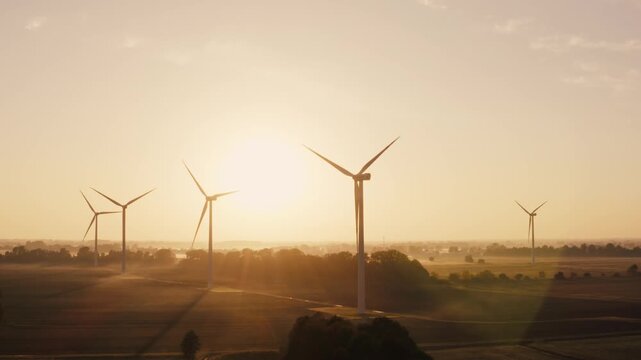 Golden rays illuminate a quiet field with wind turbines gently spinning. The tranquility of the early morning enhances the beauty of this serene landscape