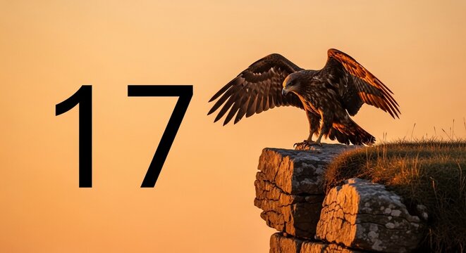 Eagle perched on rock sunset sky