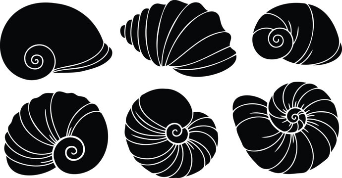 Set of black seashell silhouettes