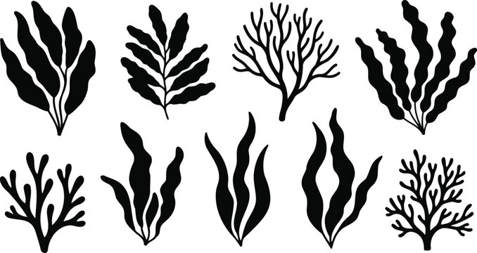 Set of black seaweed and coral silhouettes